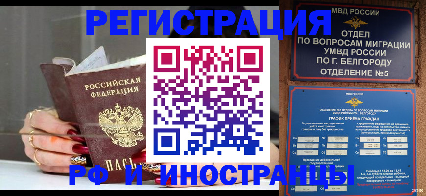 прописка в Мончегорске