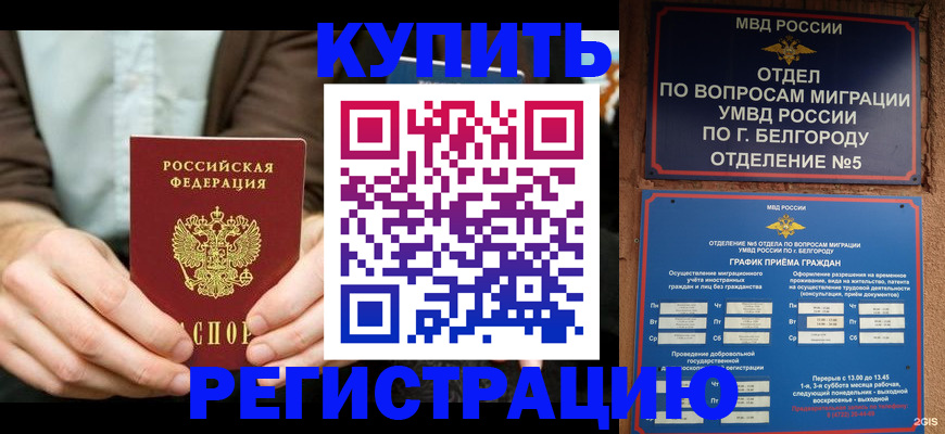 прописка 2025 в Мончегорске
